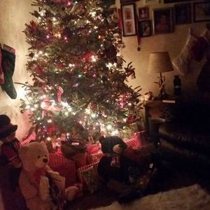 Meet your Posher, Sabrina